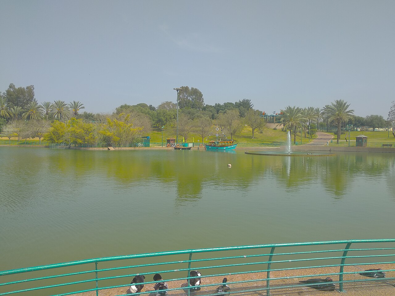 El lago del parque de Raanana, fotografía de 2019 · Fotografía del lugar